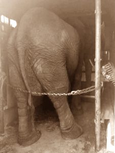 Improper Containment